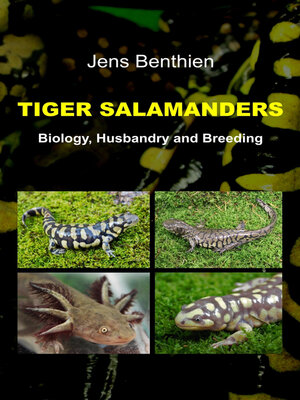 cover image of Tiger Salamanders